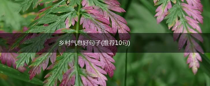 乡村气息好句子(推荐10句),第1张