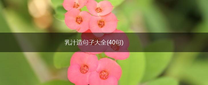 乳汁造句子大全(40句),第1张