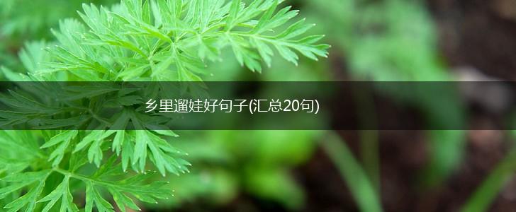乡里遛娃好句子(汇总20句),第1张