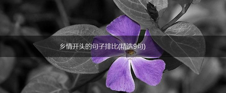 乡情开头的句子排比(精选9句),第1张