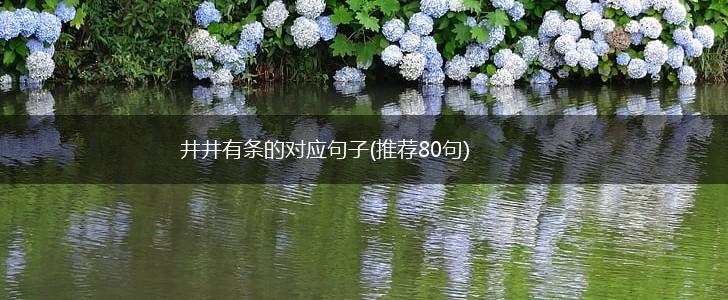 井井有条的对应句子(推荐80句),第1张