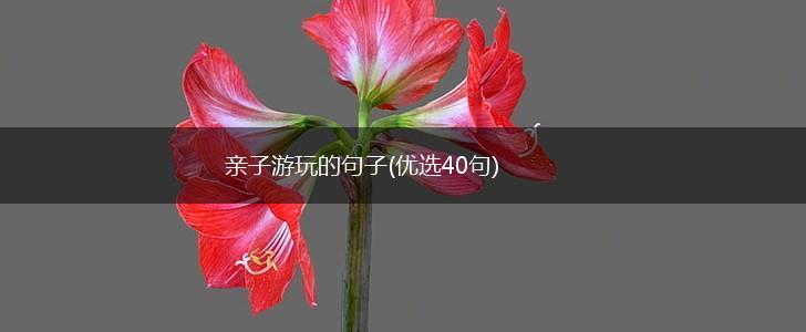 亲子游玩的句子(优选40句),第1张