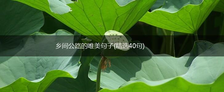 乡间公路的唯美句子(精选40句),第1张
