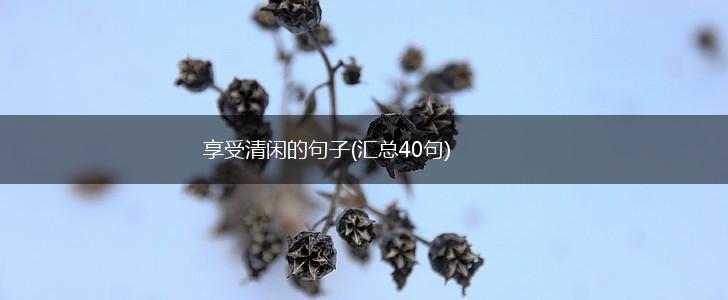 享受清闲的句子(汇总40句),第1张
