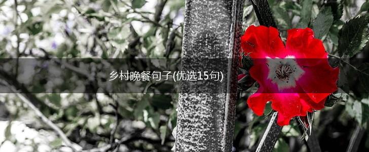 乡村晚餐句子(优选15句),第1张