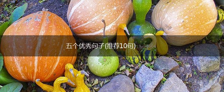 五个优秀句子(推荐10句),第1张