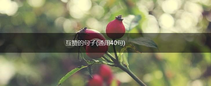 互赞的句子(通用40句),第1张
