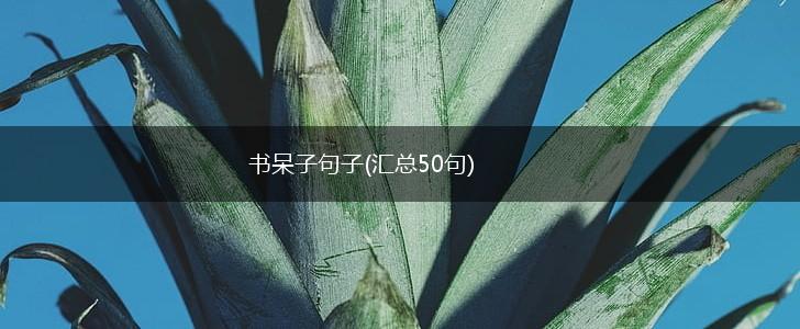 书呆子句子(汇总50句),第1张