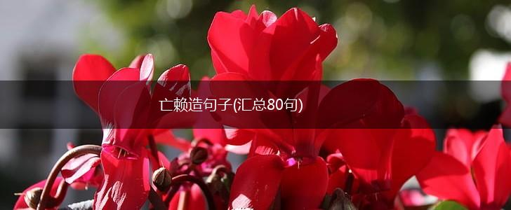 亡赖造句子(汇总80句),第1张