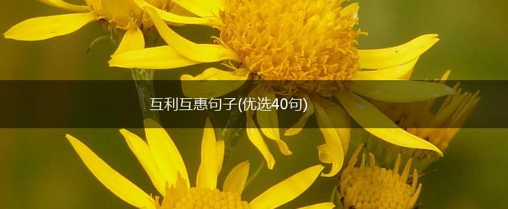 互利互惠句子(优选40句),第1张