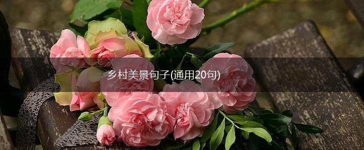 乡村美景句子(通用20句),第1张
