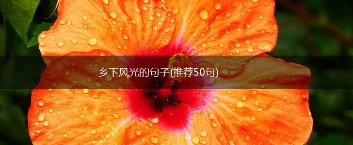 乡下风光的句子(推荐50句),第1张