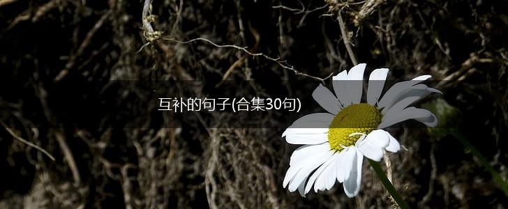 互补的句子(合集30句),第1张