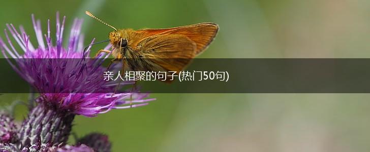 亲人相聚的句子(热门50句),第1张