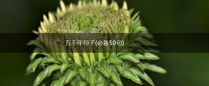 五千年句子(必备50句),第1张