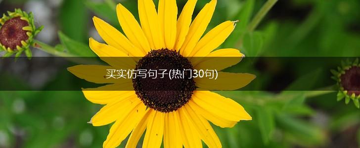 买实仿写句子(热门30句),第1张