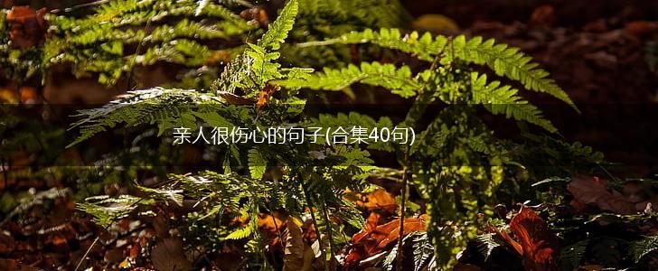 亲人很伤心的句子(合集40句),第1张