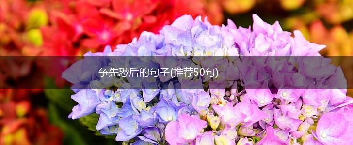 争先恐后的句子(推荐50句),第1张