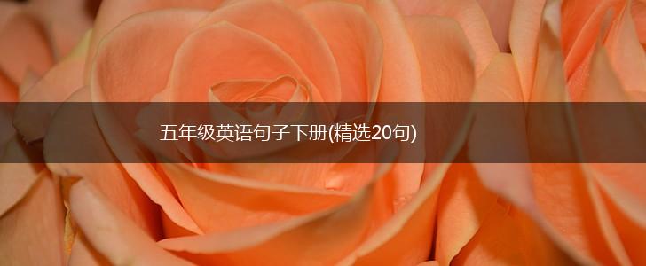 五年级英语句子下册(精选20句),第1张
