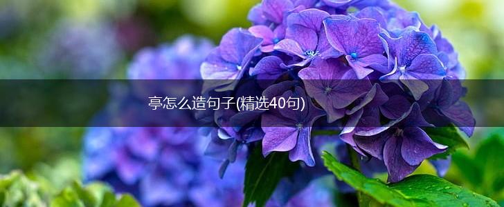 亭怎么造句子(精选40句),第1张