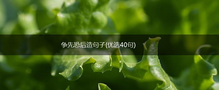 争先恐后造句子(优选40句),第1张