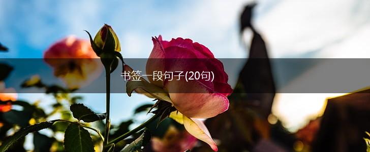 书签一段句子(20句),第1张