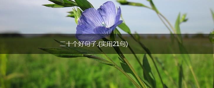 二十个好句子.(实用21句),第1张