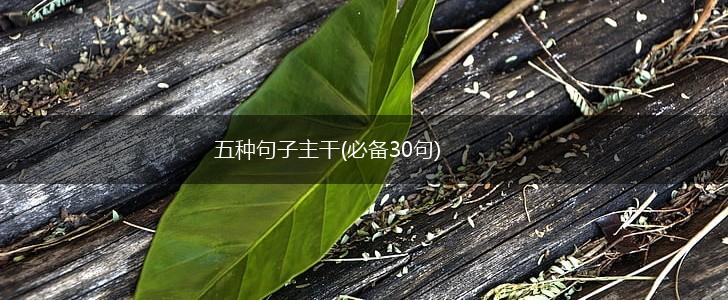 五种句子主干(必备30句),第1张