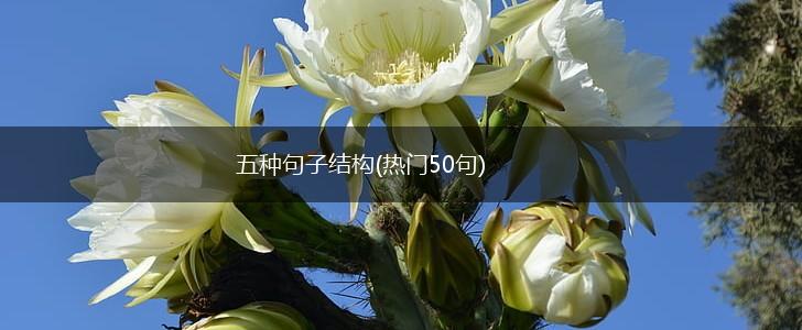 五种句子结构(热门50句),第1张
