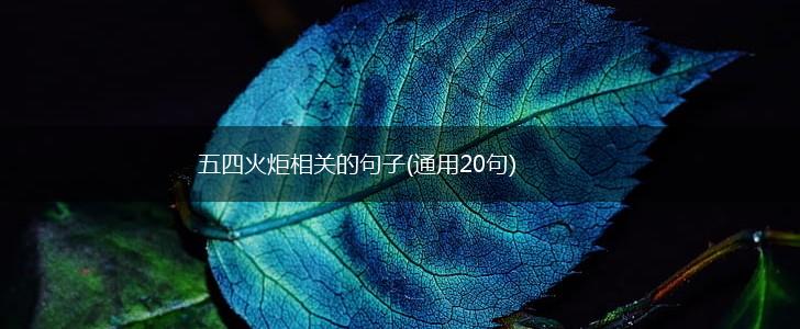 五四火炬相关的句子(通用20句),第1张