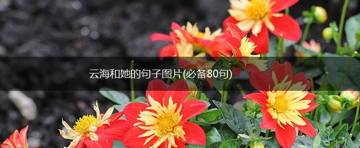 云海和她的句子图片(必备80句),第1张