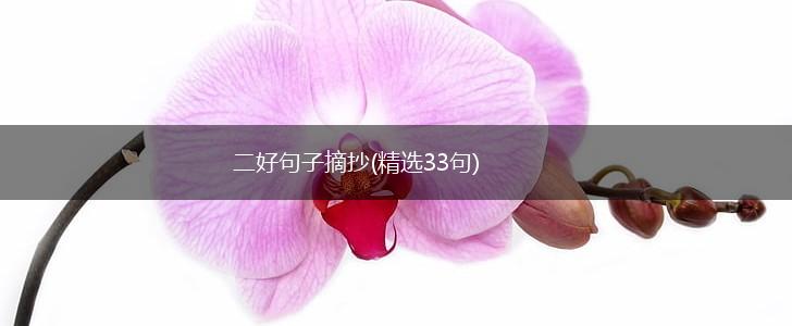 二好句子摘抄(精选33句),第1张