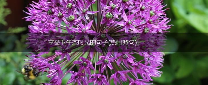 享受下午茶时光的句子(热门35句),第1张