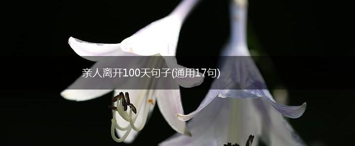 亲人离开100天句子(通用17句),第1张