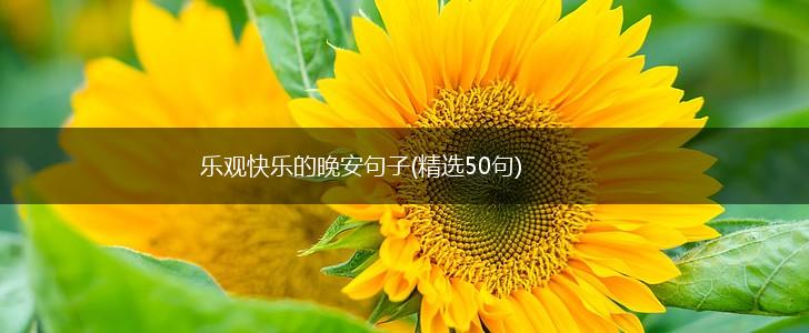 乐观快乐的晚安句子(精选50句),第1张
