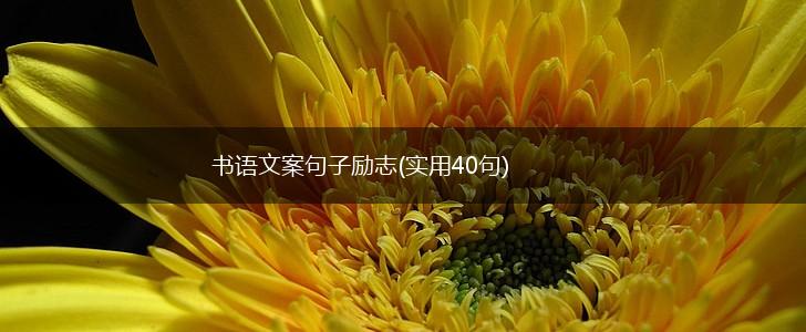 书语文案句子励志(实用40句),第1张