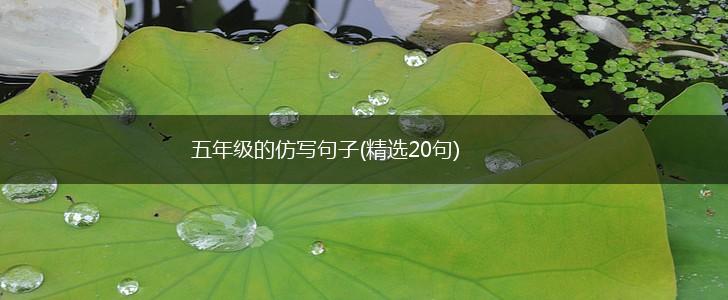 五年级的仿写句子(精选20句),第1张