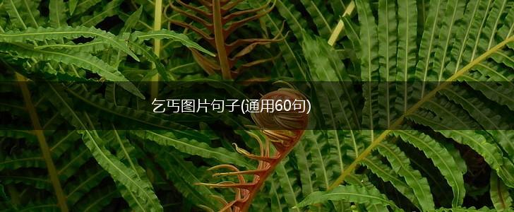 乞丐图片句子(通用60句),第1张