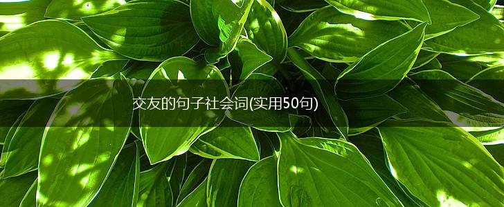 交友的句子社会词(实用50句),第1张