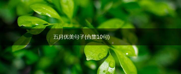 五月优美句子(合集10句),第1张