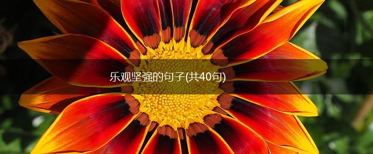 乐观坚强的句子(共40句),第1张