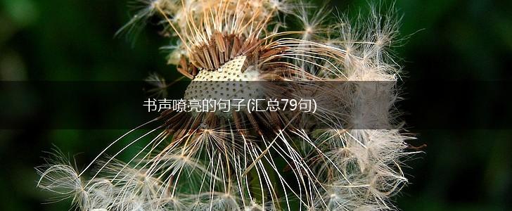 书声嘹亮的句子(汇总79句),第1张