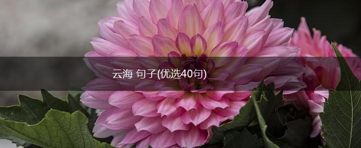 云海 句子(优选40句),第1张