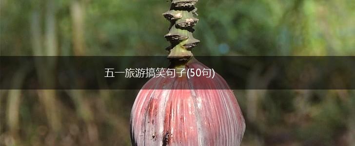 五一旅游搞笑句子(50句),第1张