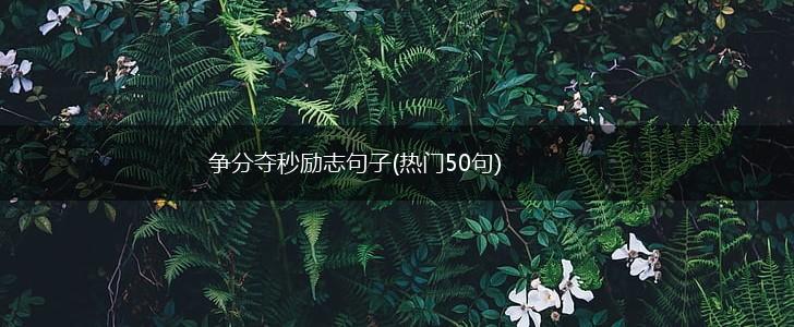 争分夺秒励志句子(热门50句),第1张