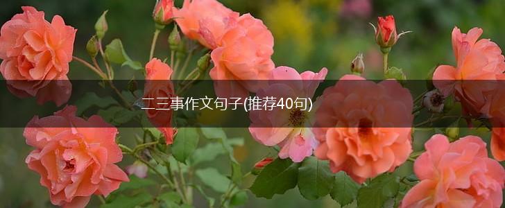二三事作文句子(推荐40句),第1张