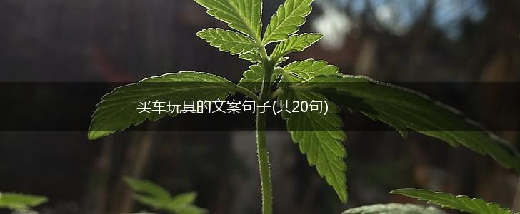 买车玩具的文案句子(共20句),第1张
