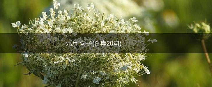 九月 句子(合集20句),第1张