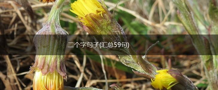 二个字句子(汇总59句),第1张