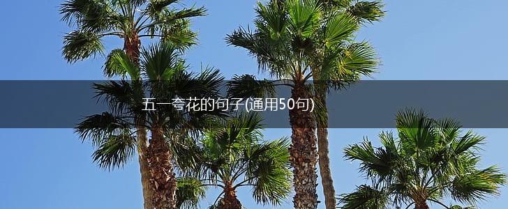 五一夸花的句子(通用50句),第1张